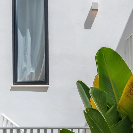 Casa Lola 3*